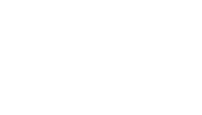 Accel logo