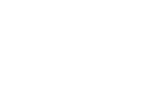 Beedie Capital logo