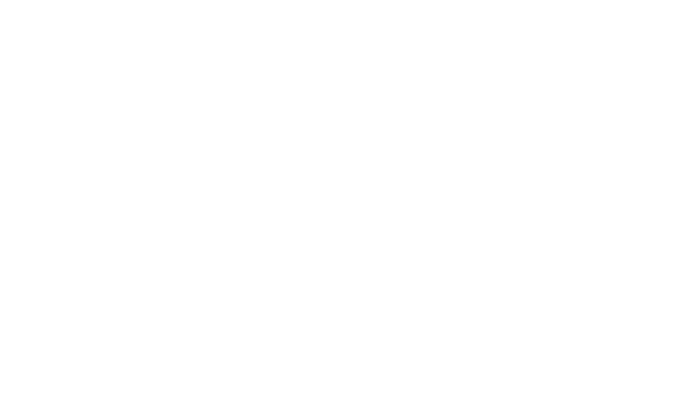 New Private Equity logo