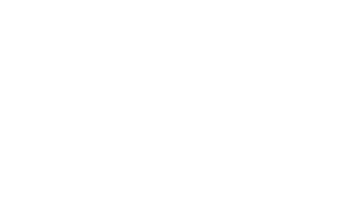 Partner One logo