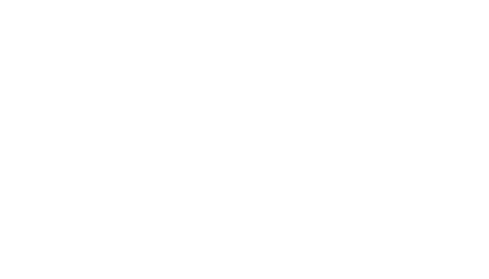 Permira logo