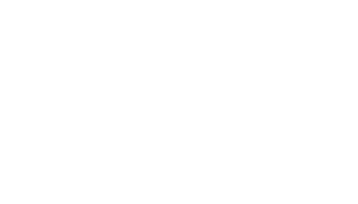 Silver Lake Partners logo